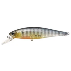 Lucky Craft Pointer 100 SP Jerkbait -Tackle Express 16 PM 34d1066f 1f2d 4edf 85fc 460a9e577850