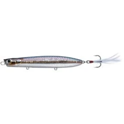 Lucky Craft Gunfish -Tackle Express 23 PM