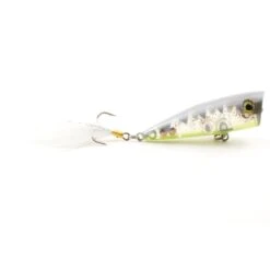 Lobina Rico Poppers -Tackle Express DSC 7050
