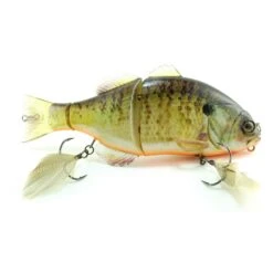 Jackall Gantarel Swimbait -Tackle Express DSC 7696