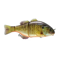 Jackall Gantarel Jr Bluegill Swimbait -Tackle Express Gantarel JR RT Bluegill