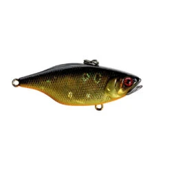 Jackall TN 80 Lipless Crankbaits -Tackle Express JackallTN80HLBlackandGold