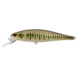 Lucky Craft Pointer 100 SP Jerkbait -Tackle Express Pointer 100 SMB