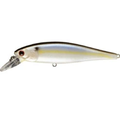Lucky Craft Pointer 100 SP Jerkbait -Tackle Express Pointer 100 SP PTFS