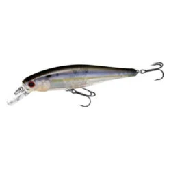 Lucky Craft Pointer 100 SP Jerkbait -Tackle Express Pointer 100 TFS