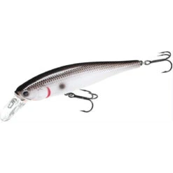 Lucky Craft Pointer 100 SP Jerkbait -Tackle Express Pointer 100 TN Shad
