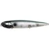 River2Sea Rover Topwater Bait 2 River2Sea Rover Topwater Bait -Tackle Express RoverG54RAbaloneShad