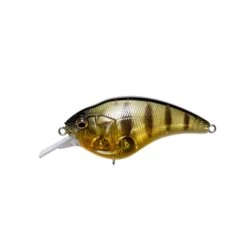 Megabass Sonic Side Squarebill Crankbait -Tackle Express Sonicside GP Pro Perch