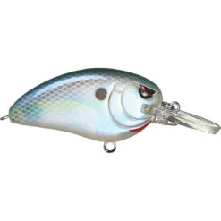 Spro Little John MD 50 Crankbait 22 Spro Little John MD 50 Crankbait -Tackle Express Spooky Nasty 572a654d 72ee 41b5 a8f1 35e36ace8708