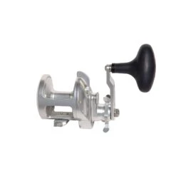 Accurate Tern 2 Conventional Star Drag Reels -Tackle Express TXD 500 1B 1920x crop center c1057914 61a5 4c7a 85f7 f164e1e2d7e9