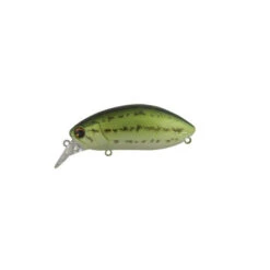 Ima Roumba Crankbait/Wakebait -Tackle Express babybass