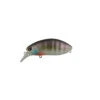 Ima Roumba Crankbait/Wakebait -Tackle Express bluegill e64790b4 5cc1 4c7d 9d72 38aedcde7547