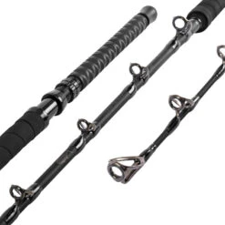 Daiwa Proteus Tuna Special Rail Rod