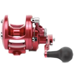Avet JX Raptor Series Reels 11 Avet JX Raptor Series Reels -Tackle Express jx 63 mc raptor rd 3