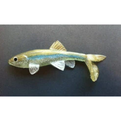 Little Creeper Baits All American Trash Fish 16 Little Creeper Baits All American Trash Fish -Tackle Express lighthitch