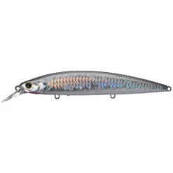 Lucky Craft Surf Pointer 115 MR -Tackle Express ms anchovy grande 12b1914f 0ebc 4c08 a5c8 5a180ab81281