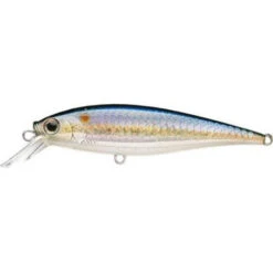 Lucky Craft Pointer SP 78 Jerkbait -Tackle Express msamericanshad