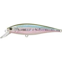 Lucky Craft Pointer SP 78 Jerkbait -Tackle Express msmjherring