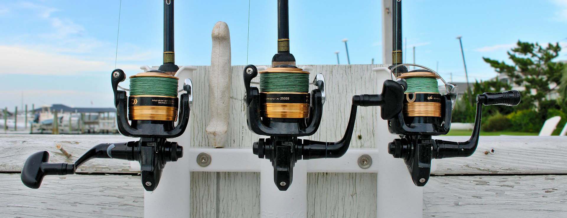 Tackle Express 3 Tackle Express -Tackle Express pexels miguel delima 1419393 13048947