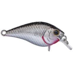 Lucky Craft LC 0.7 Squarebill Crankbait -Tackle Express rs 1 7c6f8668 4dba 4569 a5b3 5c3a650d9e3c