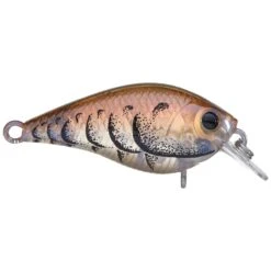 Lucky Craft LC 0.7 Squarebill Crankbait -Tackle Express rs 3 ef51d4bf 5897 4f3b 8c53 5e7e7a0044d4