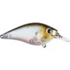 Lucky Craft LC 0.7 Squarebill Crankbait 2 Lucky Craft LC 0.7 Squarebill Crankbait -Tackle Express rs 6 eb0dbb4c 41bc 4d38 a9fe 32a802f11667