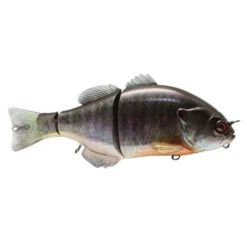 Jackall Gantarel Jr Bluegill Swimbait -Tackle Express rs b12b484f 6d9c 41b4 a078 5afdf6a6b2d7