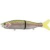 River2Sea S-Waver Swimbait 1 River2Sea S-Waver Swimbait -Tackle Express rt d059cafb 003f 47a1 8ffd 2210bbd97909