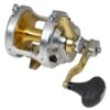 Shimano Talica Conventional 2 Speed Lever Drag Reel 1 Shimano Talica Conventional 2 Speed Lever Drag Reel -Tackle Express talica